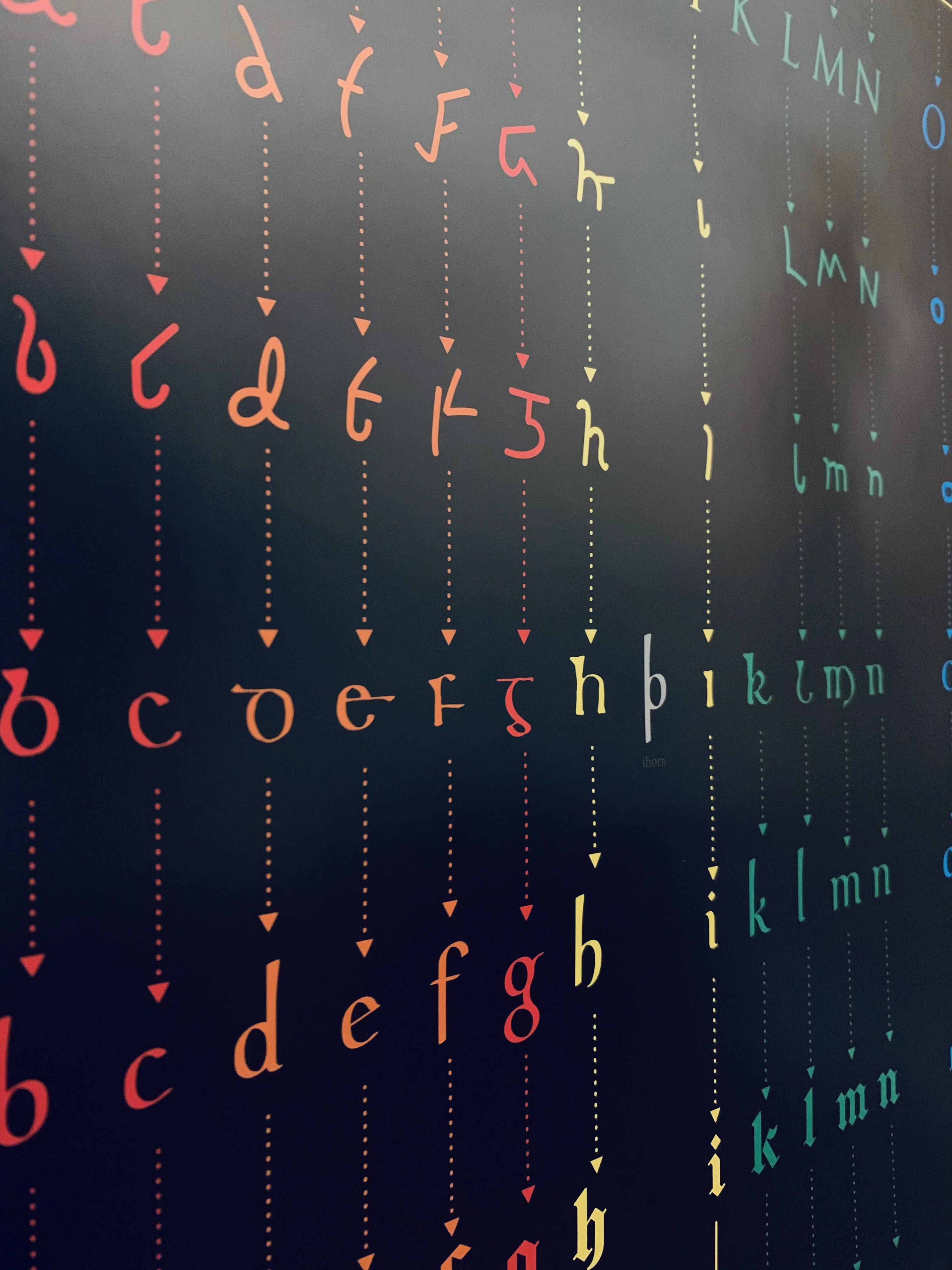 Evolution of the Alphabet Poster - Image 4